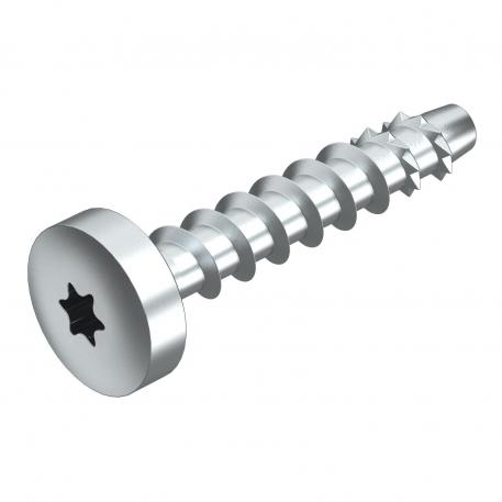 Rundhode skrue MMS-plus P 6x50, med flatt hode 50 | 6 x 50 | 5 | 11,2 | Torx